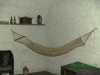 Joyce's Hammock