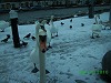 Snow and Swans Dublin - photo 2