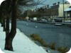 1-swans_snow_dublin_03