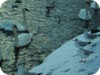1-swans_snow_dublin_21