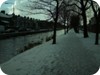 Swans & Snow Grand Canal Dublin - Nov. 30th 2010