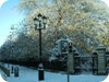 St Stephen's Green - frozen street lamp