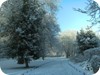 Snow covered path - St Stephen's Green