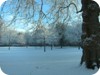 Winter scene 1 - St Stephen's Green