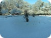 Snow covered flower beds 1 - St Stephen's Green