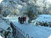 Enjoying the snow - St Stephen's Green