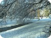 Winter wonderland - St Stephen's Green