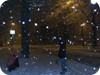 Snow blizzard on Harrington Street 5