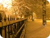 Snow covered Harrington Street 3