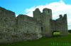 Trim Castle 2