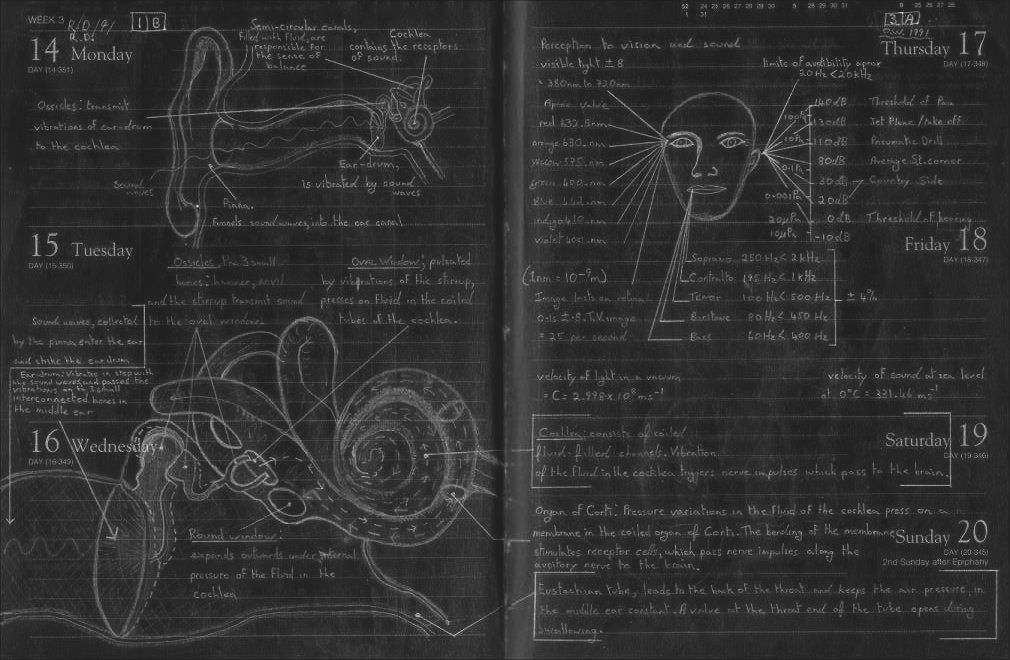 Plate 5 - Perception of sound and vision