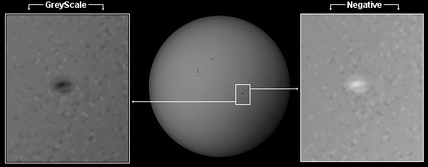 Sunspots 03 - Negative and GreyScale - Dublin June 2nd