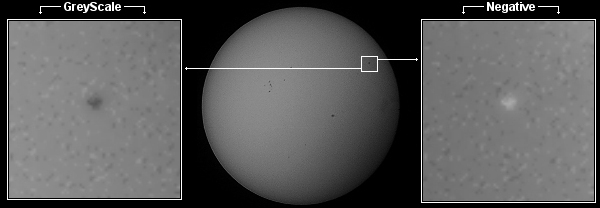 Sunspots 04 - Negative and GreyScale - Dublin June 2nd