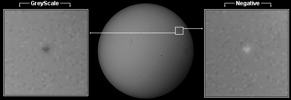Sunspots 04 - Negative and GreyScale - Dublin June 2nd
